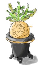 古典植物としてのセッコク