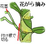 花がら摘み