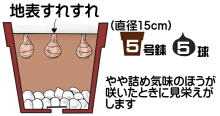 スノーフレークの育て方 ヤサシイエンゲイ