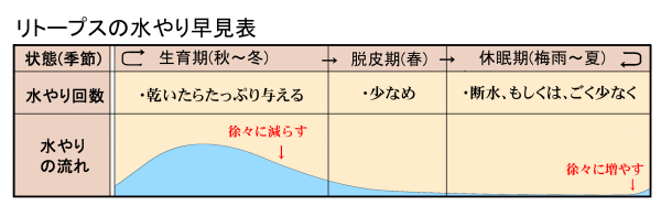 水やり早見表