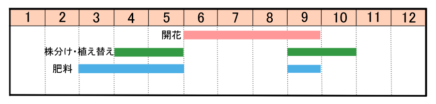 栽培カレンダー