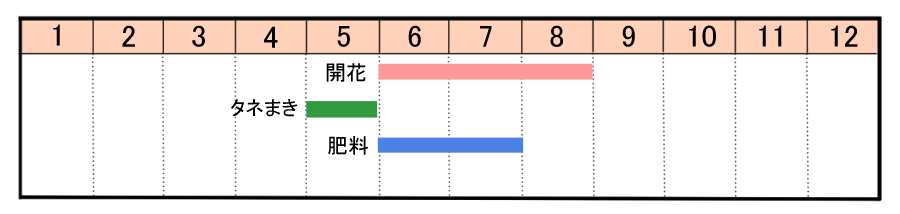 栽培カレンダー