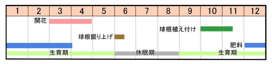 栽培カレンダー