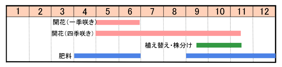 アルストロメリアの育て方 ヤサシイエンゲイ