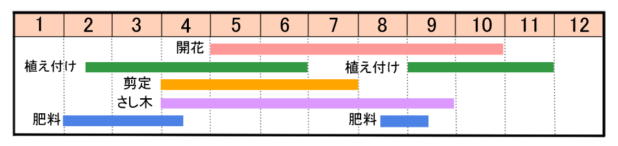 栽培カレンダー