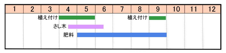 イベリスの育て方 ヤサシイエンゲイ