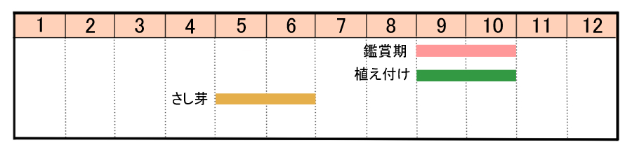 栽培カレンダー