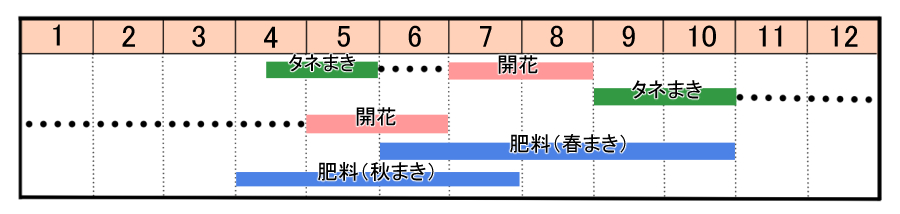 栽培カレンダー