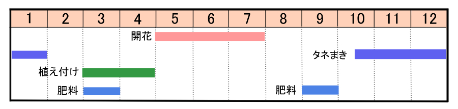 栽培カレンダー