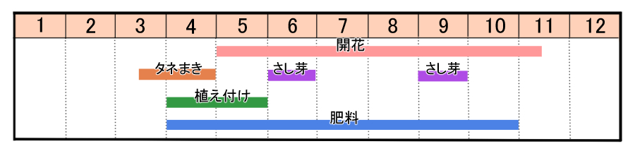 栽培カレンダー