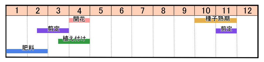 栽培カレンダー