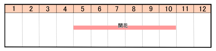 栽培カレンダー