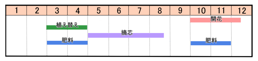 イソギク 磯菊 の育て方 ヤサシイエンゲイ