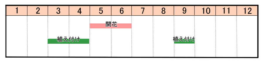 栽培カレンダー