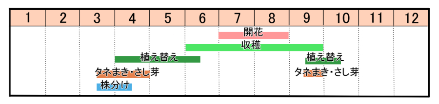 栽培カレンダー