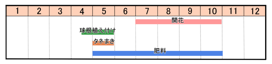 栽培カレンダー