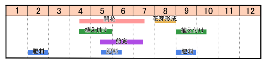 栽培カレンダー