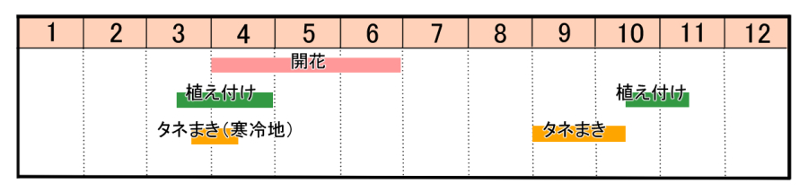 栽培カレンダー