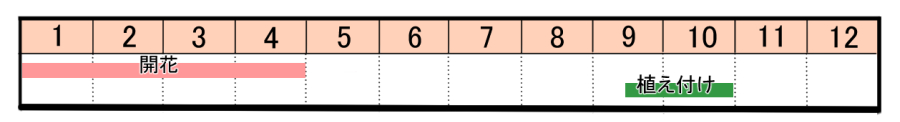 栽培カレンダー