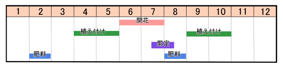 クチナシの育て方 ヤサシイエンゲイ