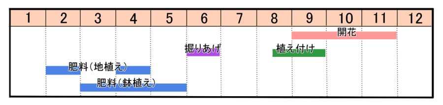 栽培カレンダー