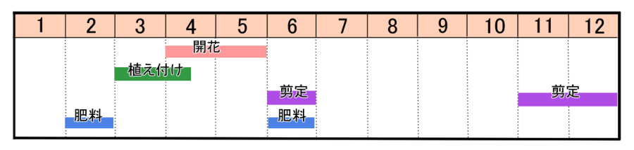 コデマリの育て方 ヤサシイエンゲイ