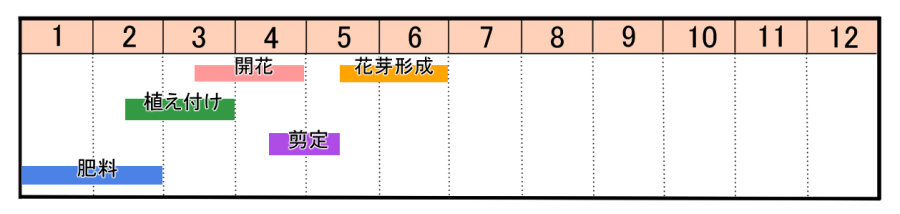 栽培カレンダー