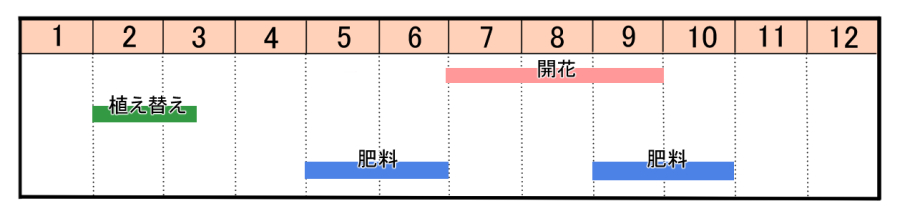 サギソウの育て方 ヤサシイエンゲイ