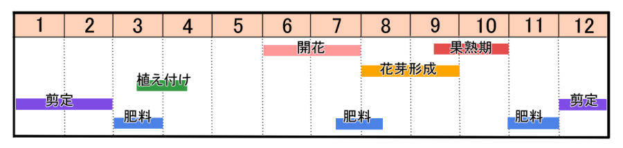 ザクロの育て方 ヤサシイエンゲイ