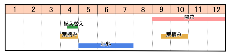 栽培カレンダー