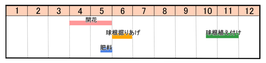 スノーフレークの育て方 ヤサシイエンゲイ