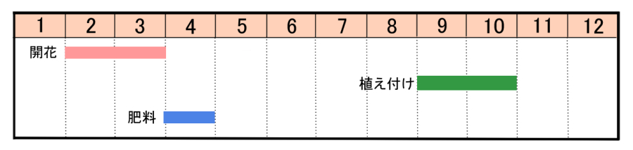 スノードロップの育て方 ヤサシイエンゲイ