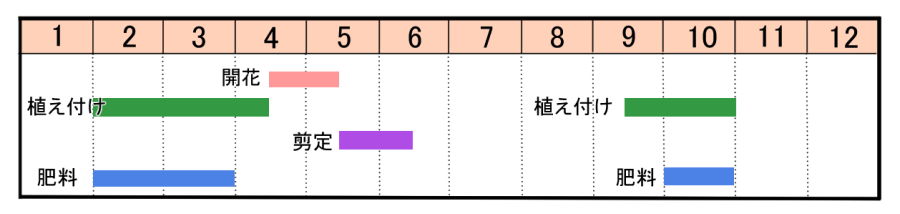 セイヨウシャクナゲの育て方 ヤサシイエンゲイ