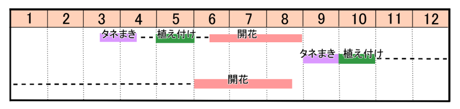 栽培カレンダー