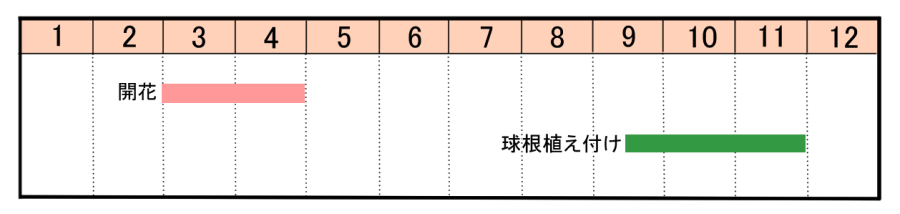 栽培カレンダー