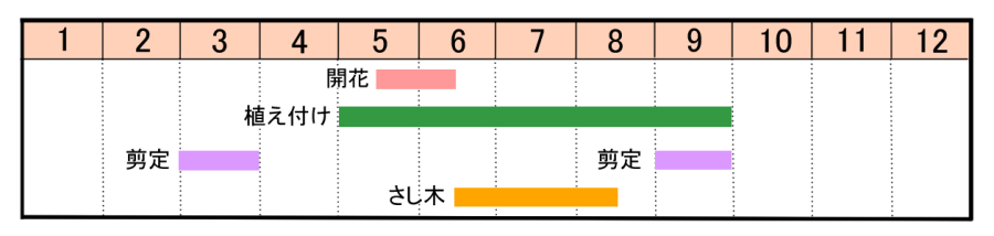 栽培カレンダー