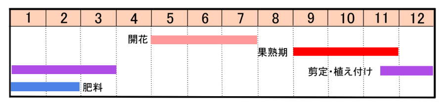 栽培カレンダー