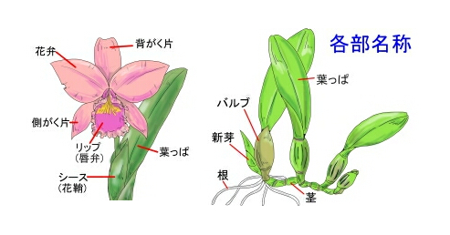 各部名称