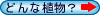 TvE摜