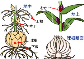 各部名称