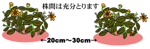 株間は充分とります