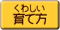 くわしい育て方