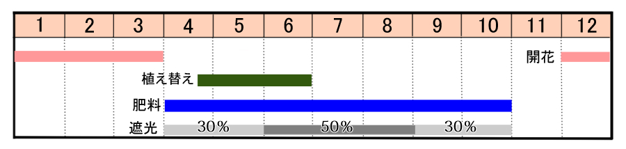 栽培カレンダー