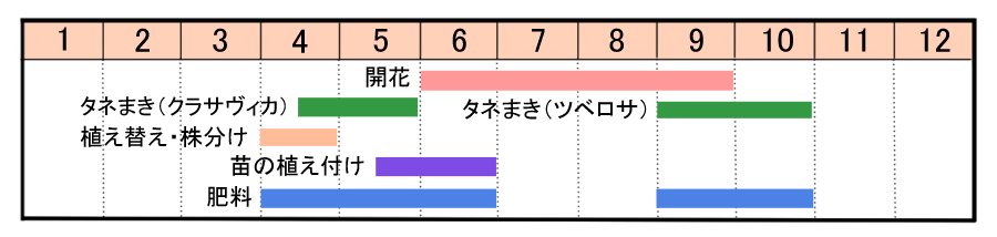 栽培カレンダー