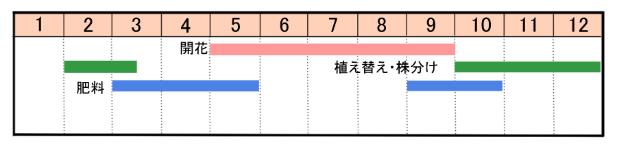 栽培カレンダー