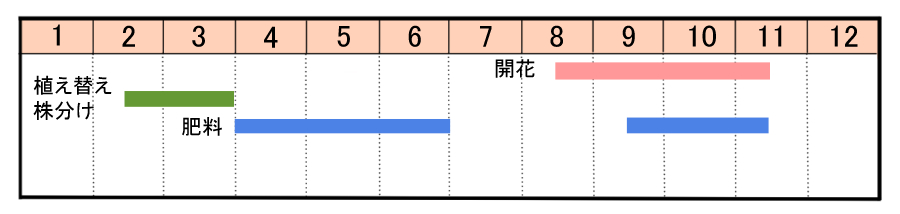 栽培カレンダー