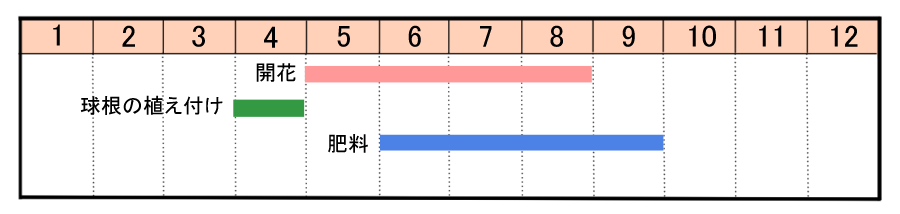 栽培カレンダー