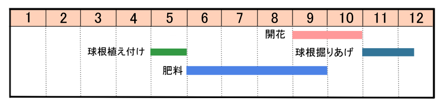 栽培カレンダー