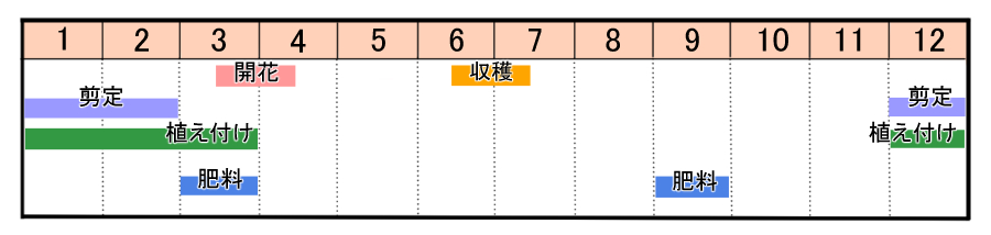 栽培カレンダー