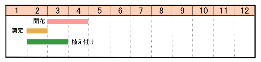 栽培カレンダー